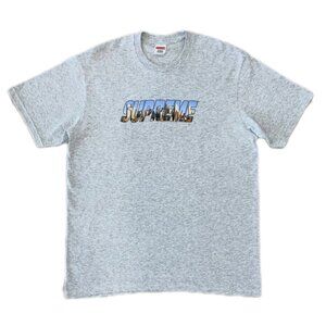 SUPREME T-SHIRT (GREY)